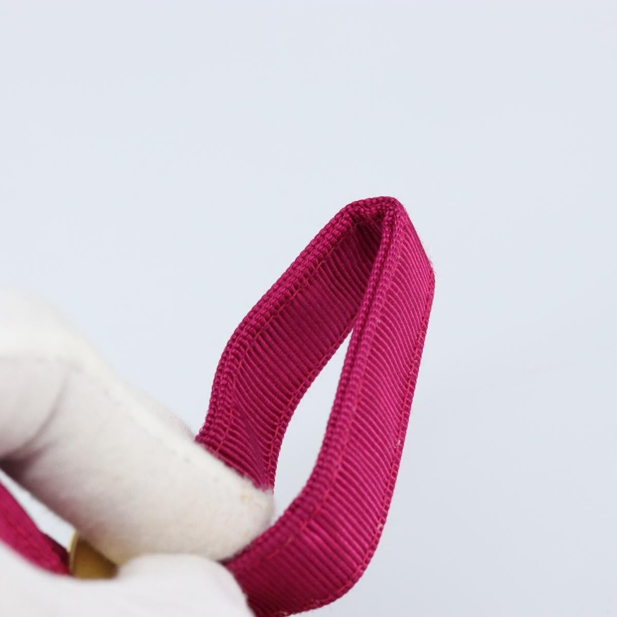 Celine Circle Logo Pouch Canvas Pink Canvas Clutche & Pouche Bag