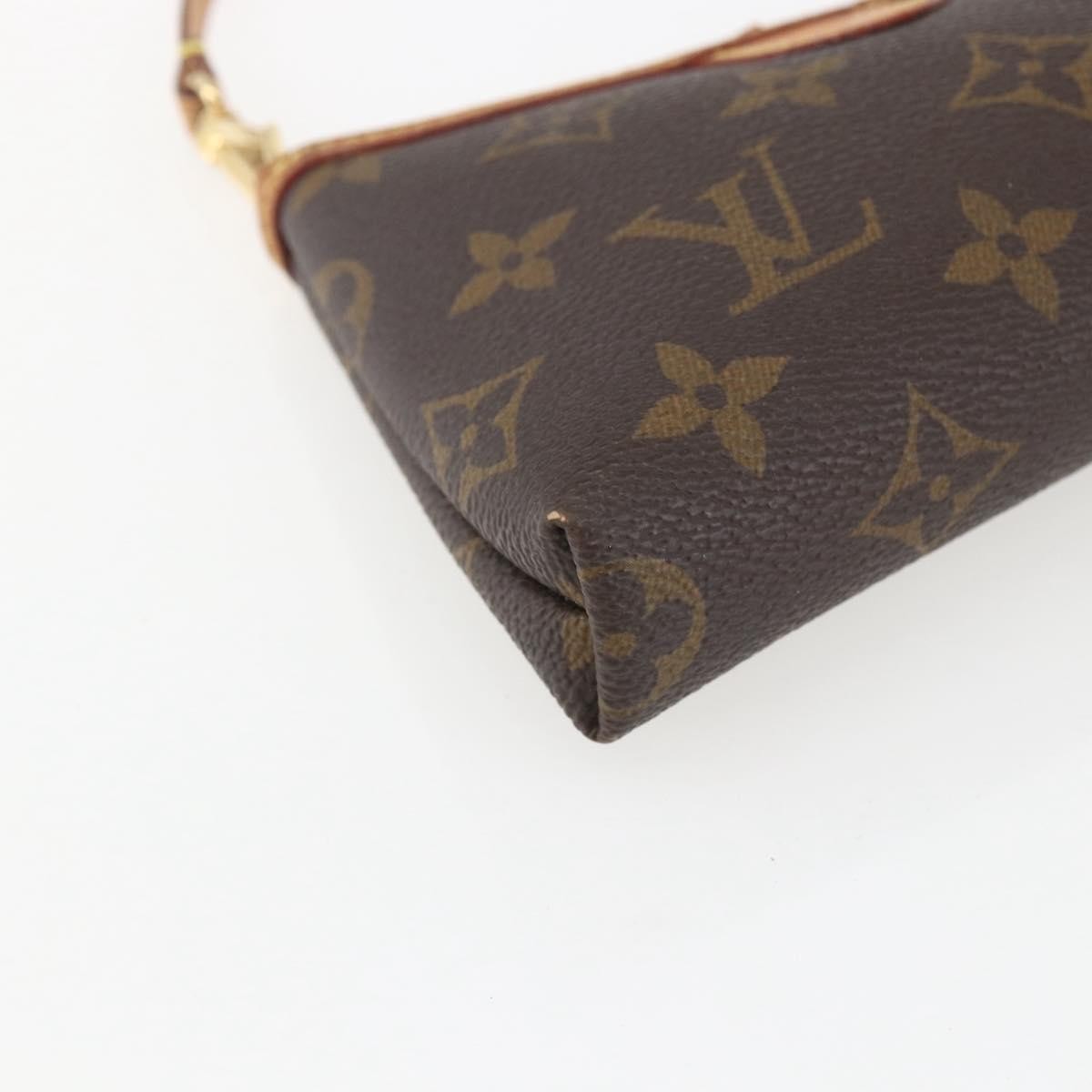 Louis Vuitton Delightful Pochette Monogram Canvas Brown Canvas Clutche & Pouche Bag