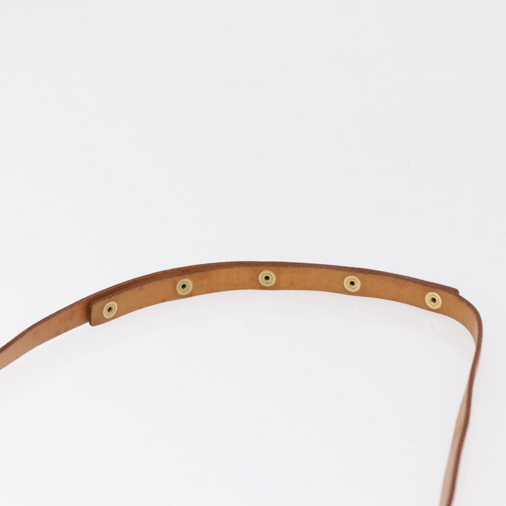 Louis Vuitton Florentine Waist Bag Monogram Canvas Brown Canvas Clutche & Pouche Bag