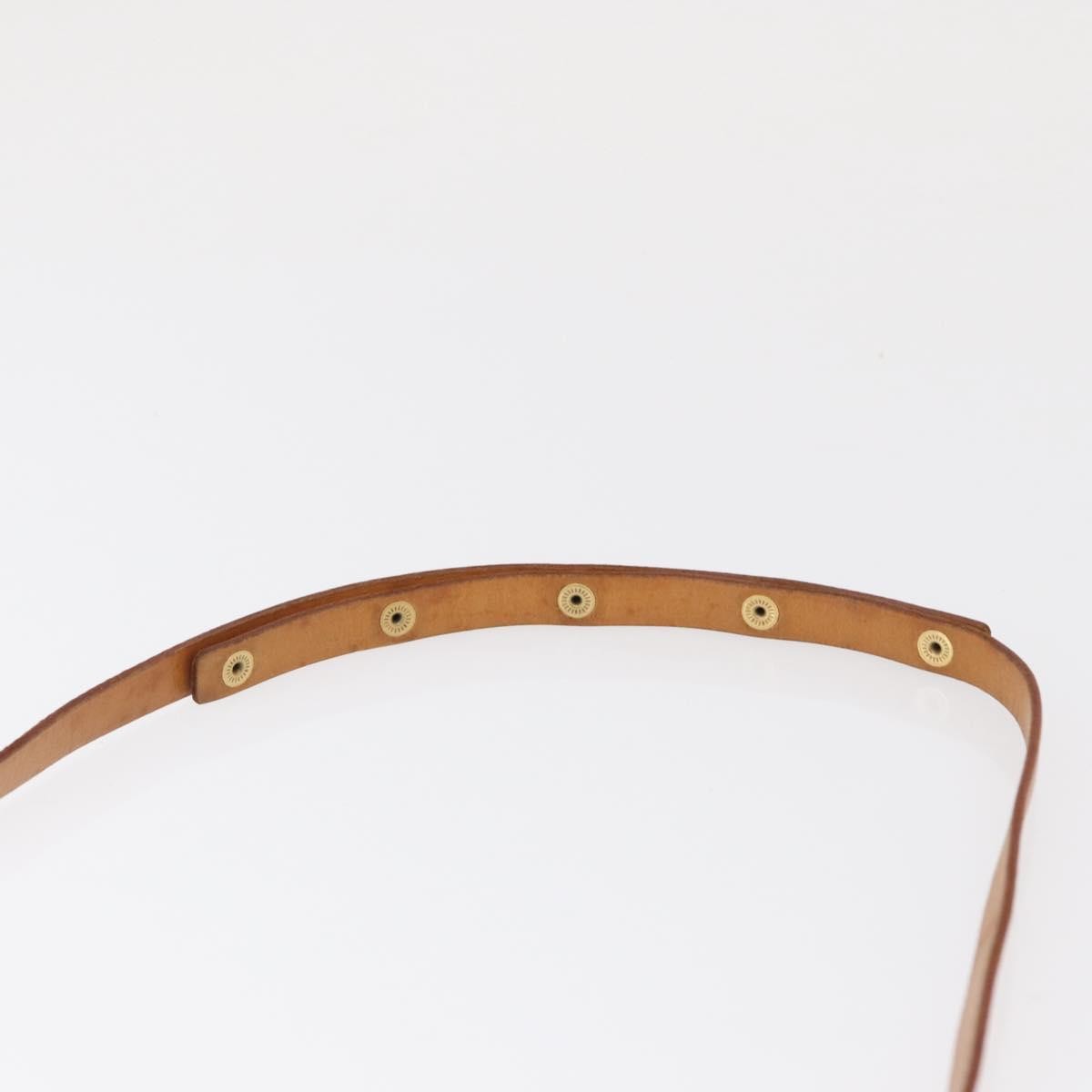 Louis Vuitton Florentine Waist Bag Monogram Canvas Brown Canvas Clutche & Pouche Bag