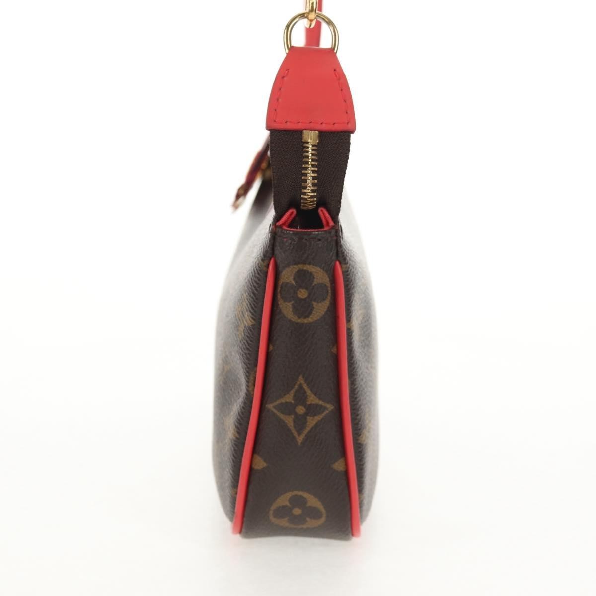 Louis Vuitton Pochette Accessoires Nm Limited Edition Totem Monogram Canvas Brown Canvas Clutche & Pouche Bag