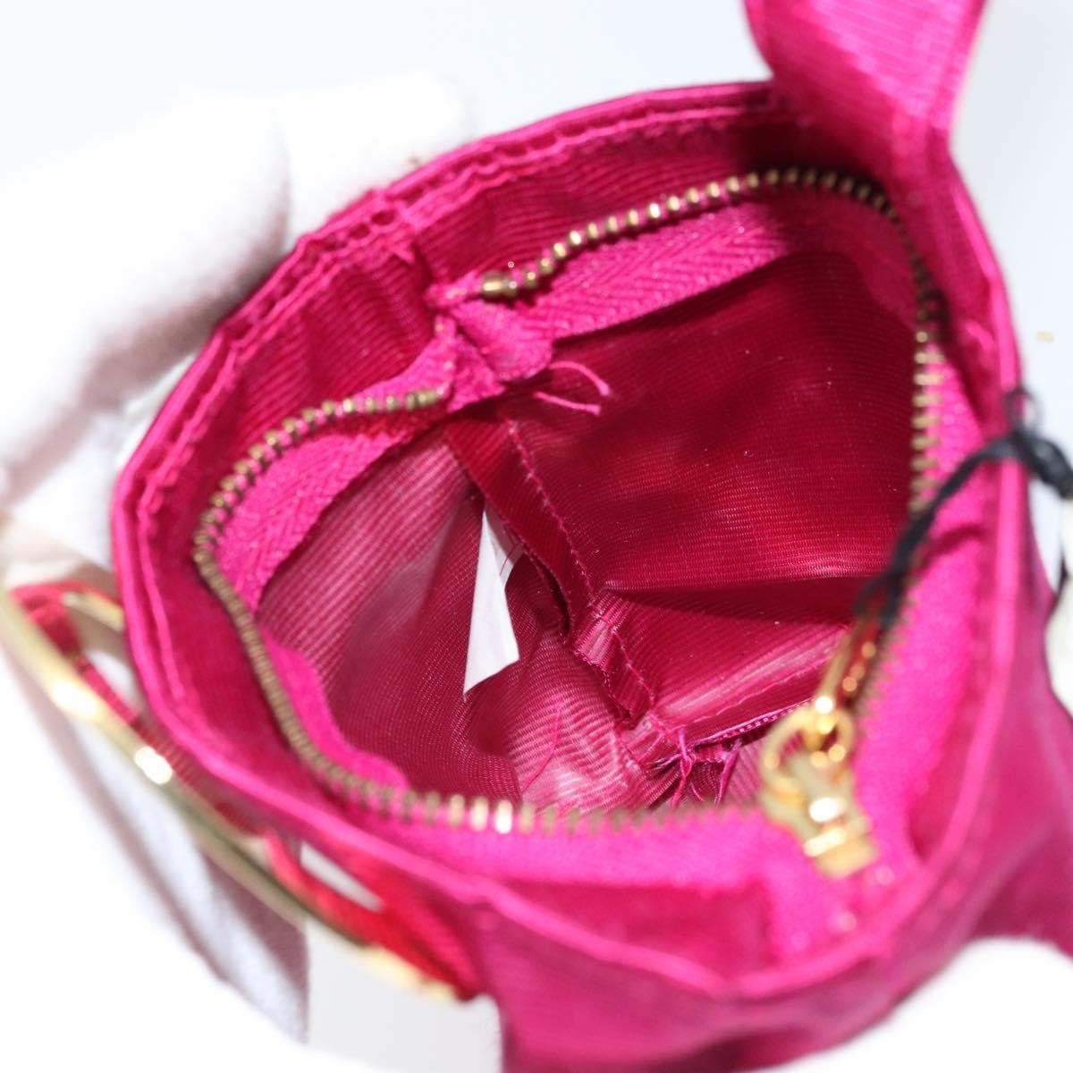 Celine Circle Logo Pouch Canvas Pink Canvas Clutche & Pouche Bag