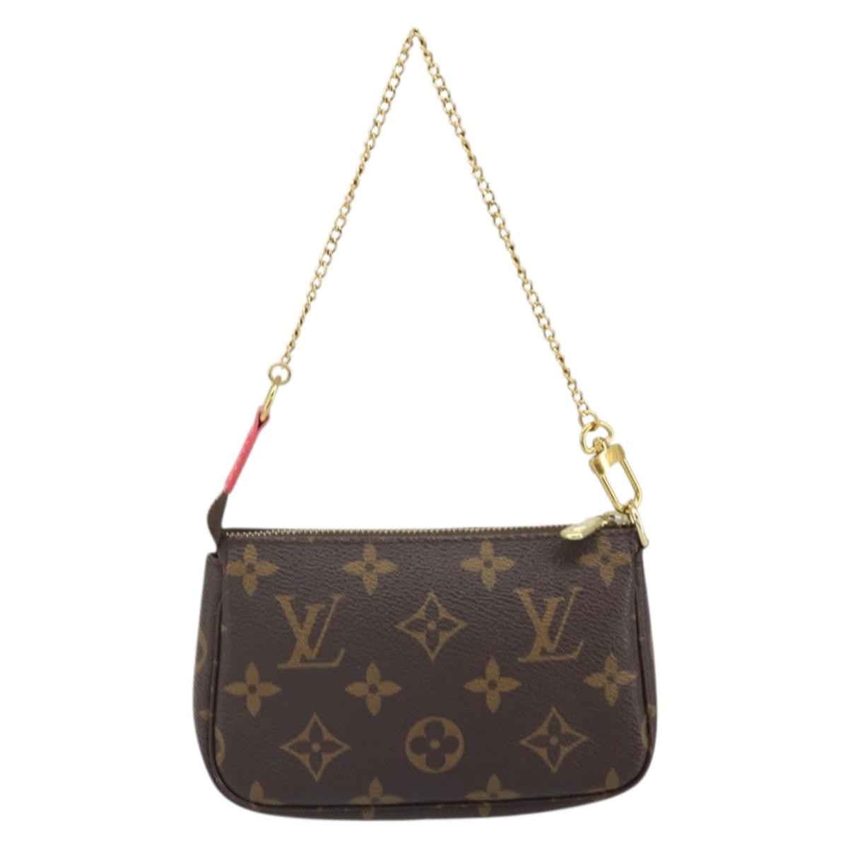 Louis Vuitton Pochette Accessoires Limited Edition Vivienne Xmas Monogram Canvas Brown Canvas Clutche & Pouche Bag