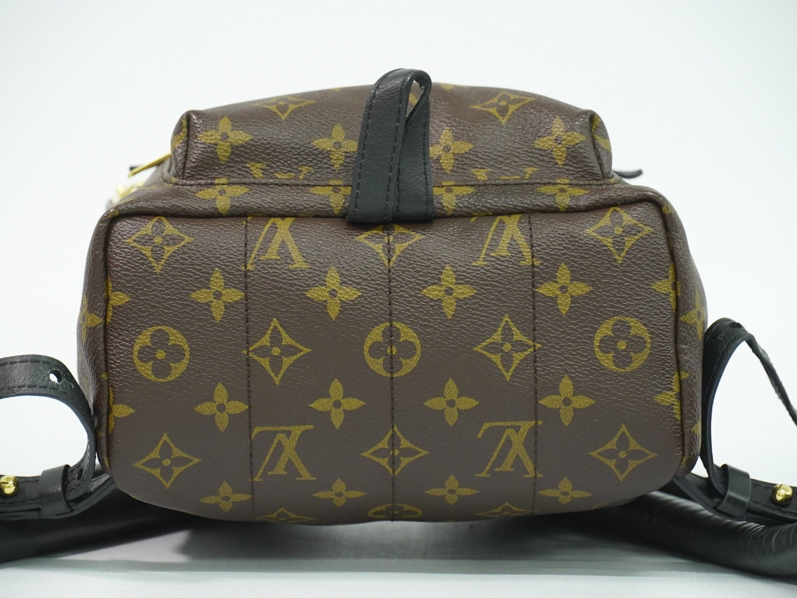 Louis Vuitton Palm Springs Backpack Monogram Canvas Brown Canvas Backpack Bag