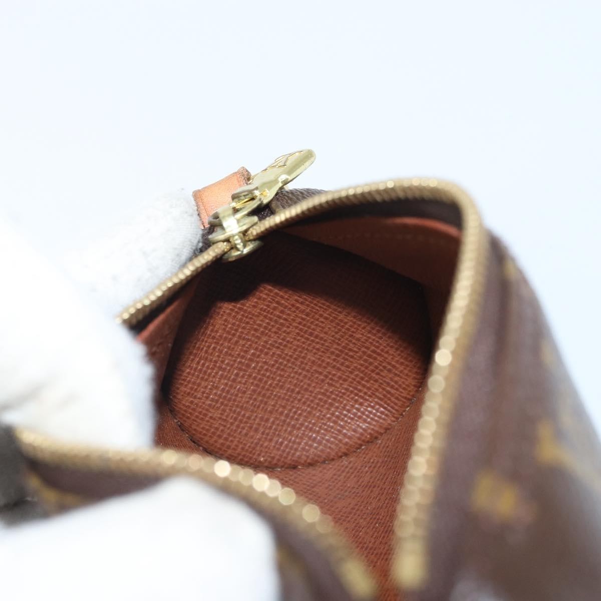 Louis Vuitton Papillon Pochette Monogram Canvas Brown Canvas Clutche & Pouche Bag