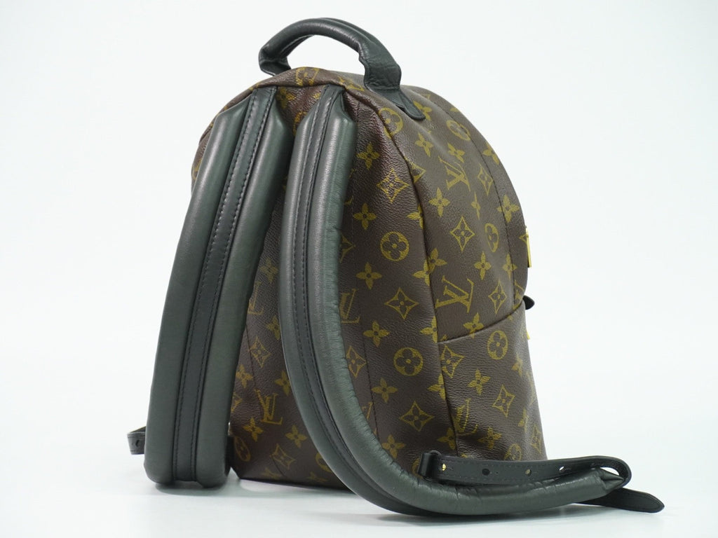 Louis Vuitton Palm Springs Backpack Monogram Canvas Brown Canvas Backpack Bag