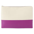 Celine Bicolor Solo Clutch Leather Multicolour Leather Clutche & Pouche Bag