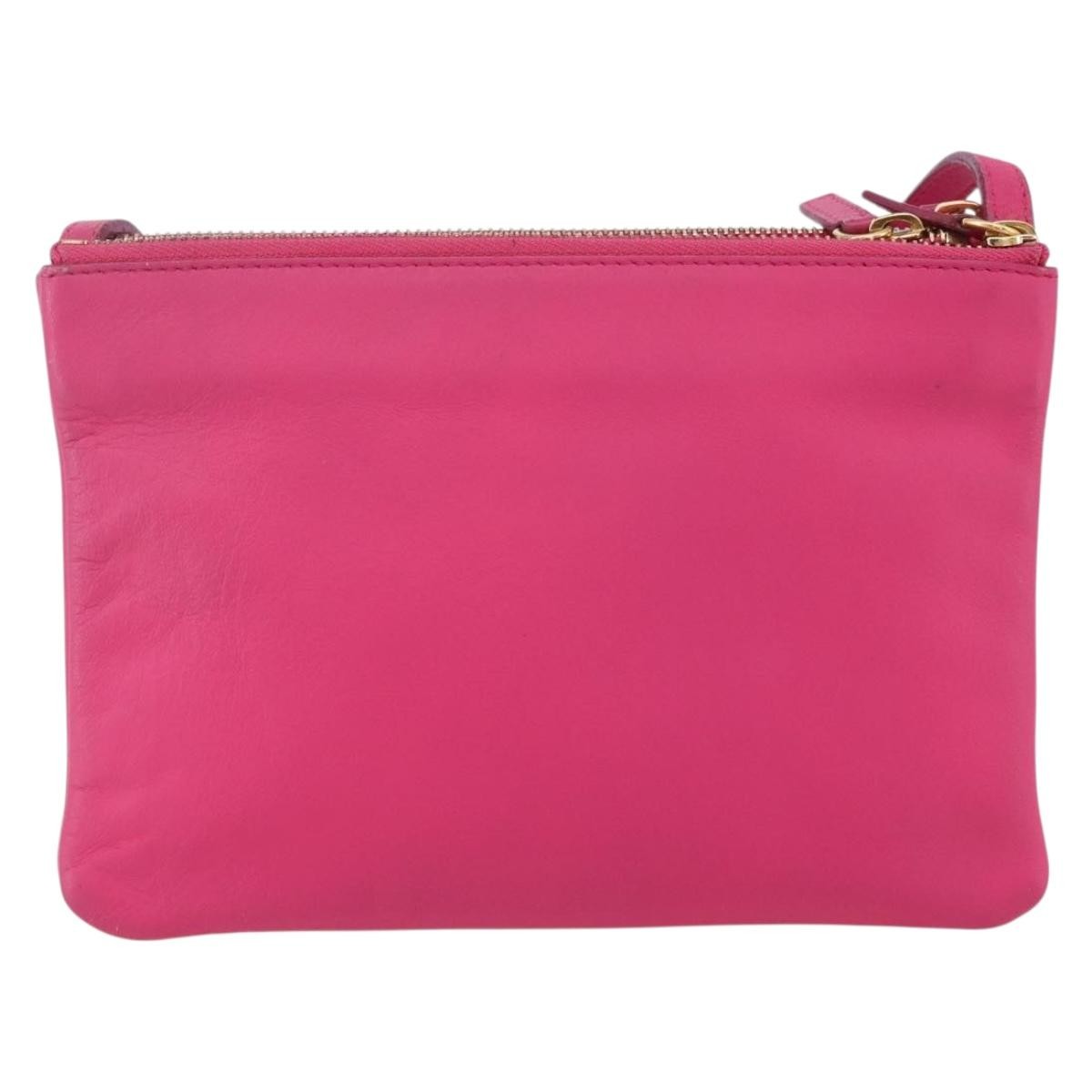 Celine Trio Crossbody Bag Leather Pink Leather Shoulder Bag Bag