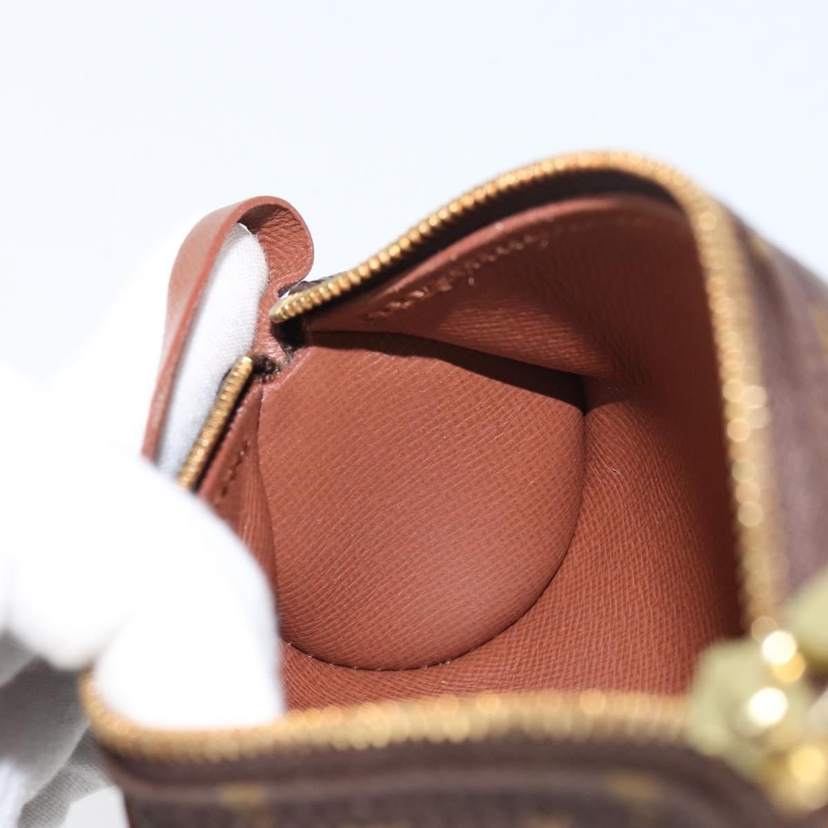 Louis Vuitton Papillon Pochette Monogram Canvas Brown Canvas Clutche & Pouche Bag
