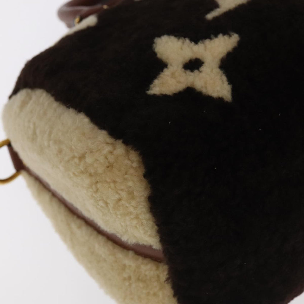 Louis Vuitton Speedy Bandouliere Bag Monogram Giant Teddy Fleece Brown Fur Shoulder Bag
