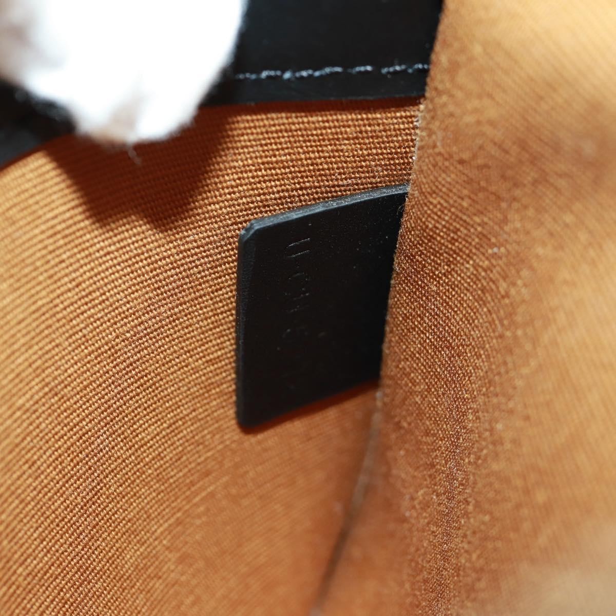 Celine Logo Messenger Bag Triomphe Coated Canvas Black Pvc Shoulder Bag Bag