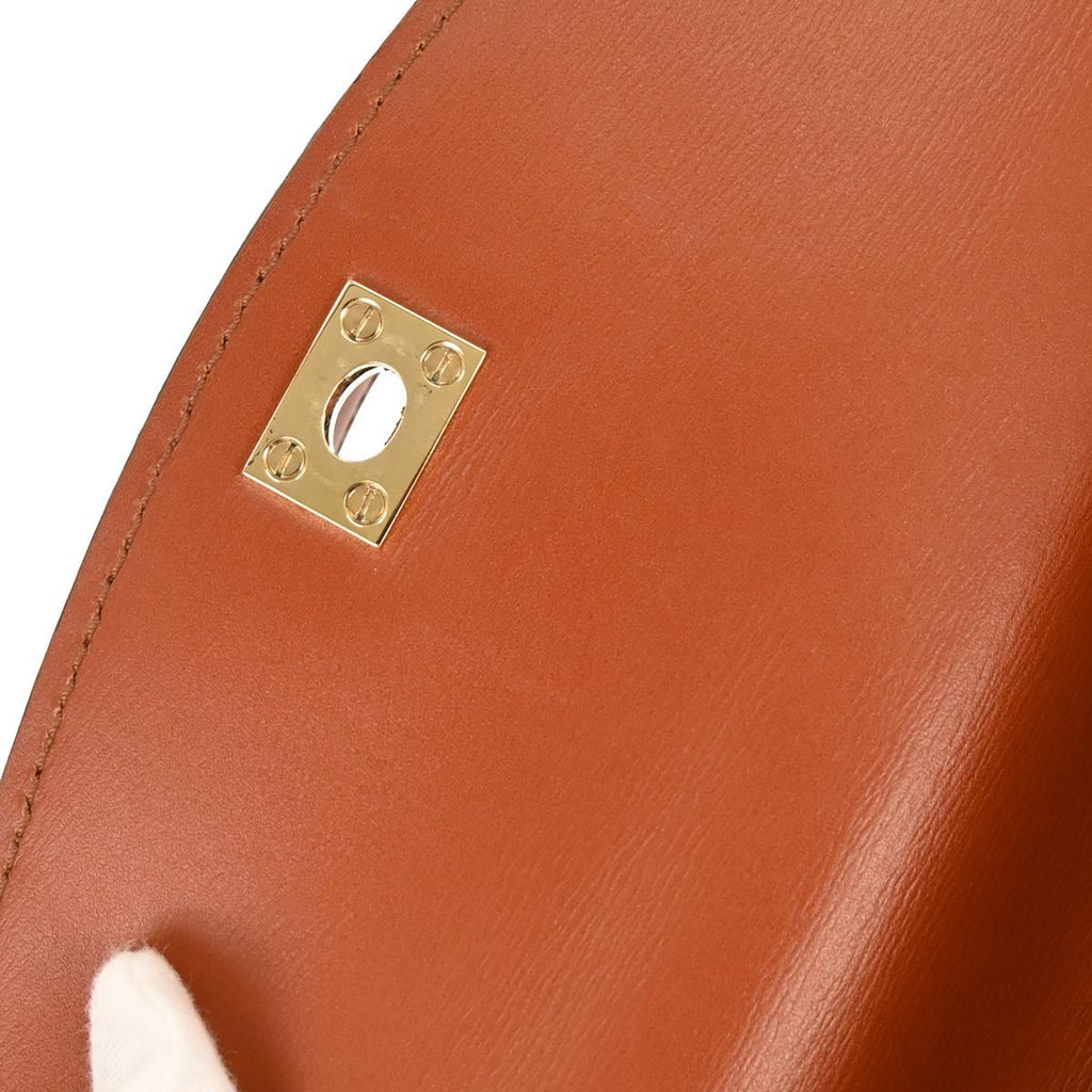 Louis Vuitton Malesherbes Handbag Epi Leather Brown Leather Handbag
