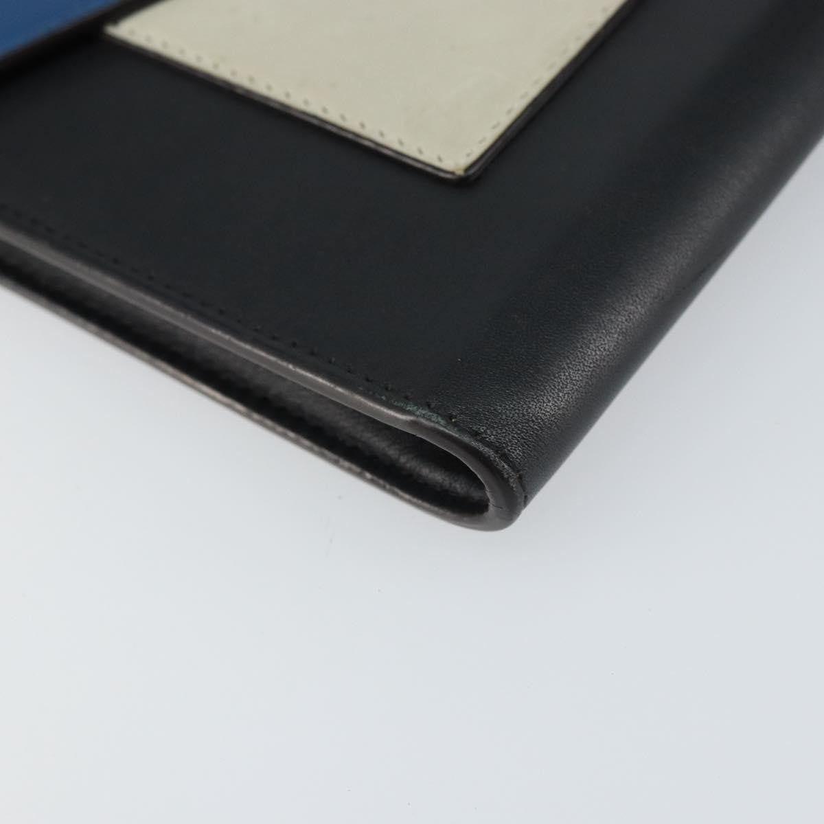 Celine Pocket Envelope Wallet On Chain Leather Multicolour Leather Clutche & Pouche Bag