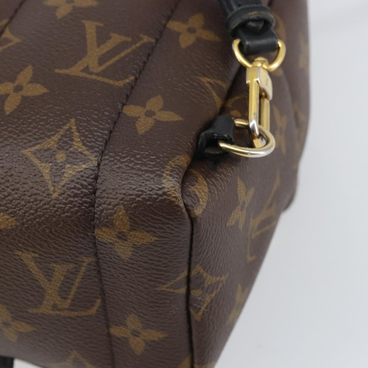 Louis Vuitton Palm Springs Backpack Monogram Canvas Brown Canvas Backpack Bag