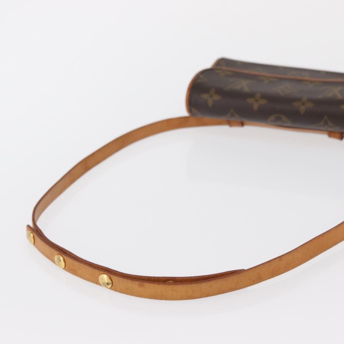 Louis Vuitton Florentine Waist Bag Monogram Canvas Brown Canvas Clutche & Pouche Bag