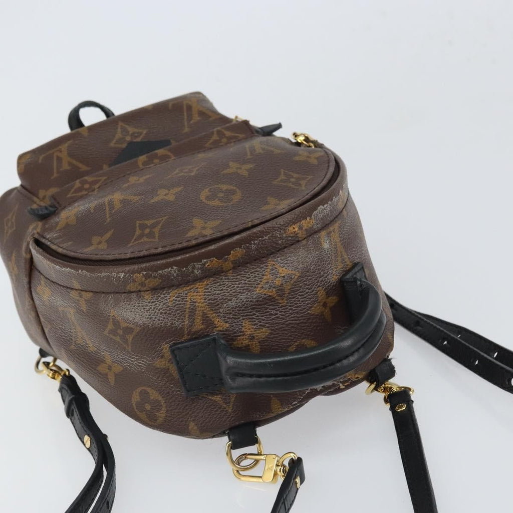 Louis Vuitton Palm Springs Backpack Monogram Canvas Brown Canvas Backpack Bag