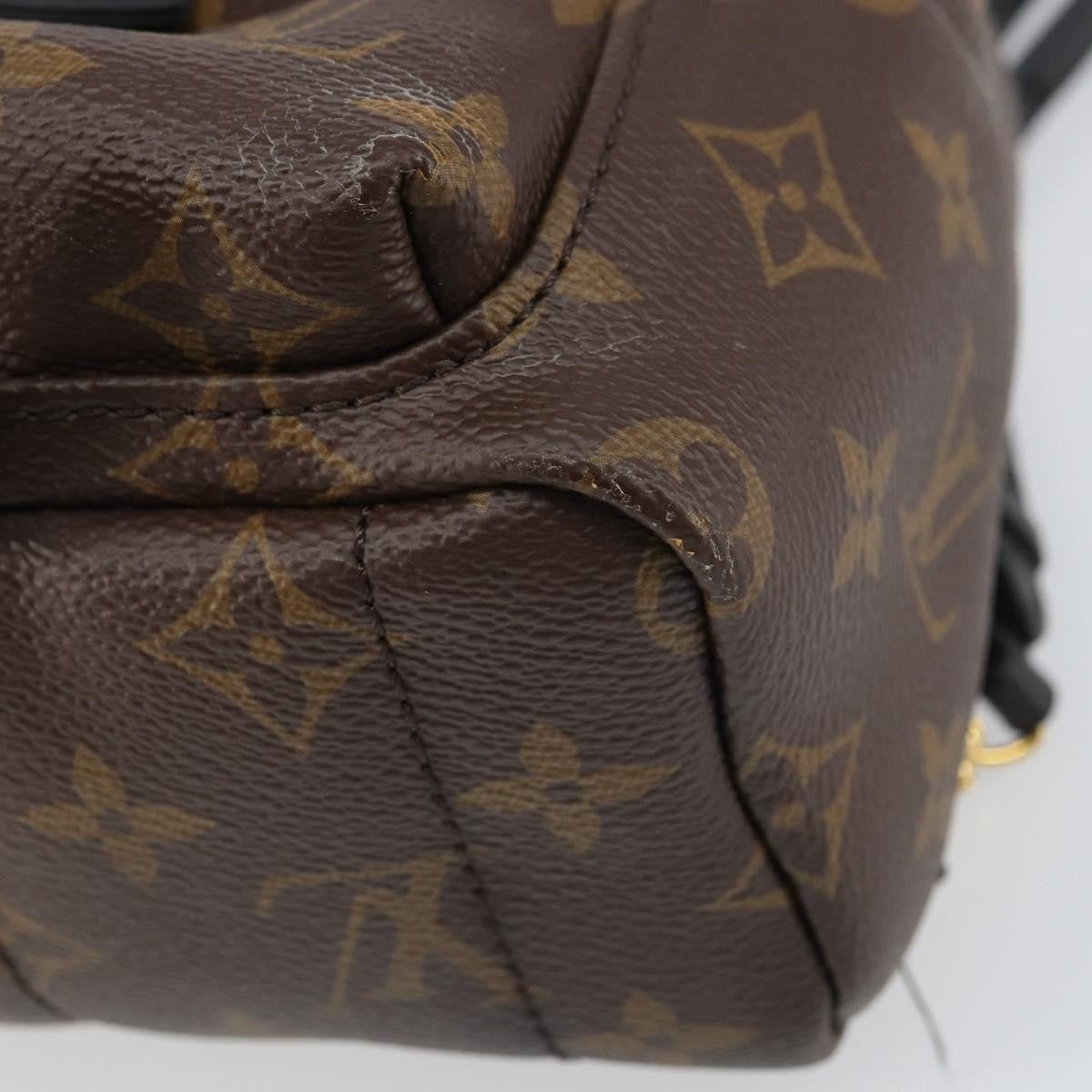 Louis Vuitton Palm Springs Backpack Monogram Canvas Brown Canvas Backpack Bag
