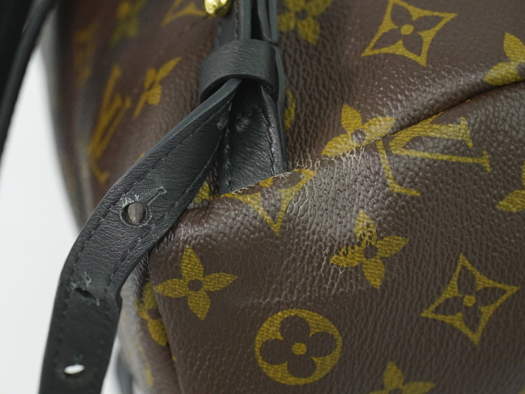 Louis Vuitton Palm Springs Backpack Monogram Canvas Brown Canvas Backpack Bag