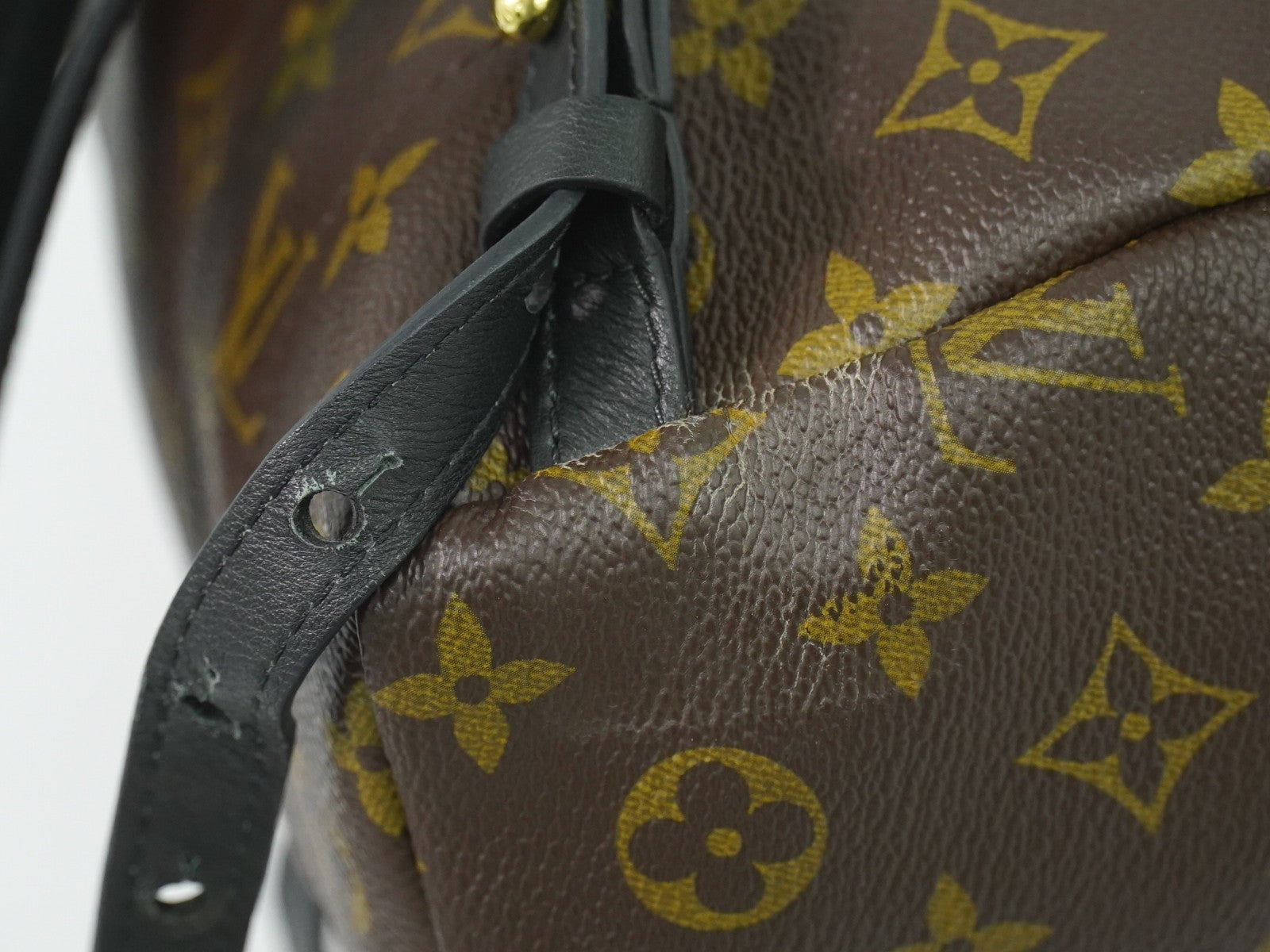 Louis Vuitton Palm Springs Backpack Monogram Canvas Brown Canvas Backpack Bag