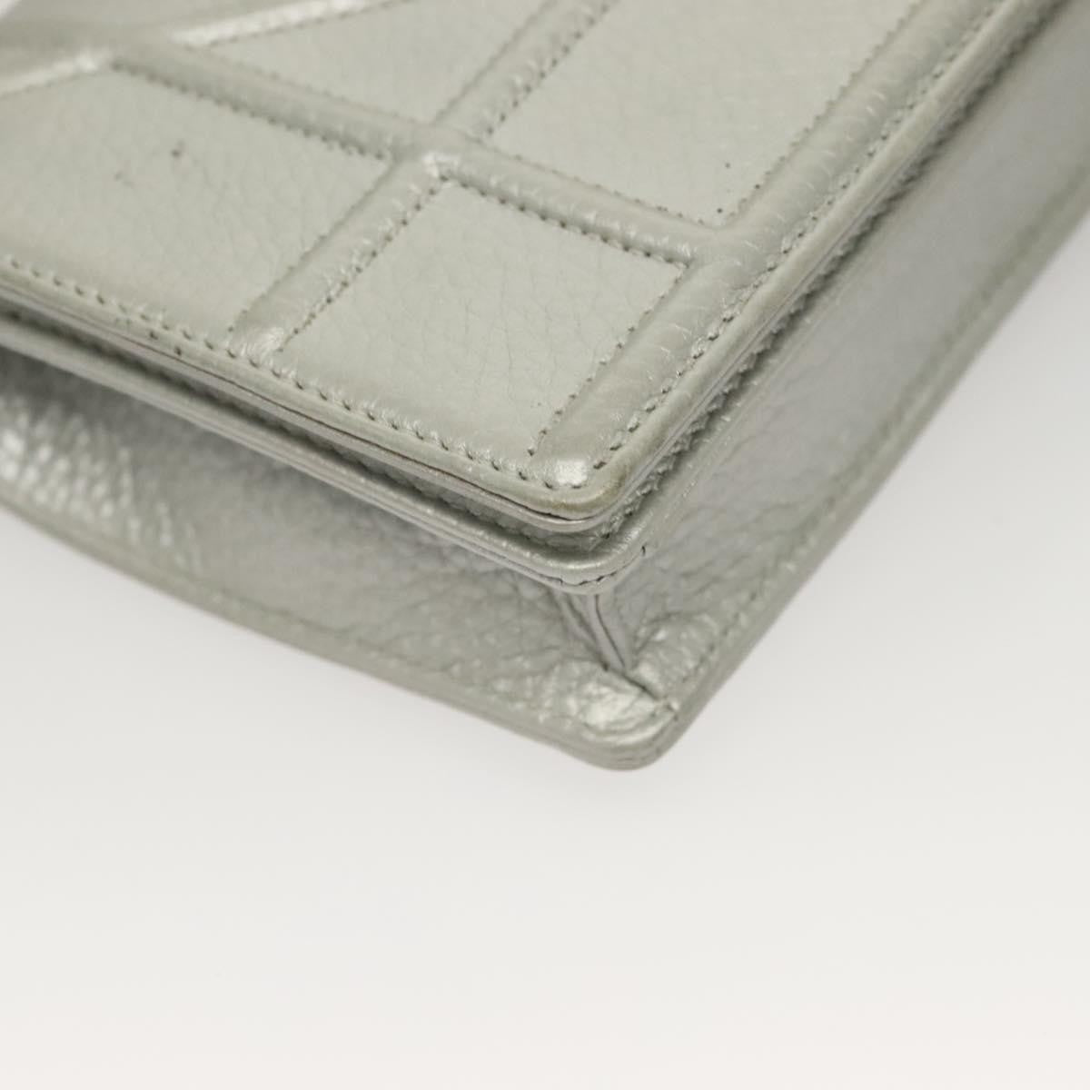 Christian Dior Diorama Wallet On Chain Leather Silver Leather Bag (Pre-Owned)