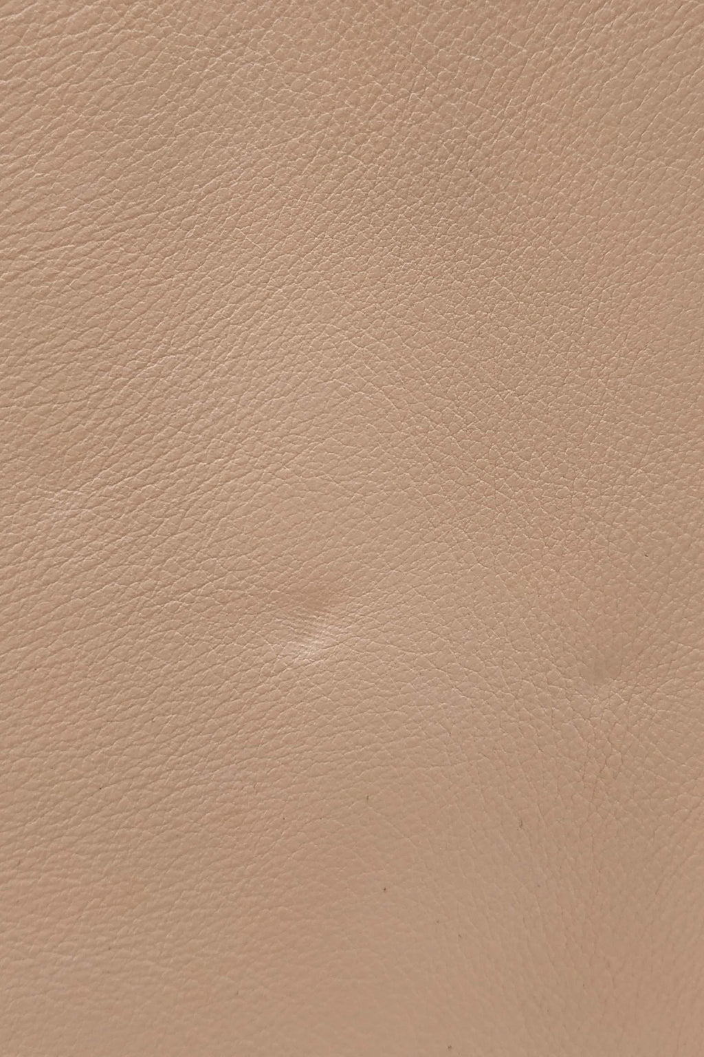 Classic Small Sac De Jour Peach
